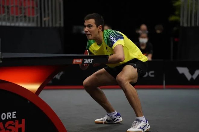 仅丰富了机 仅丰富了机