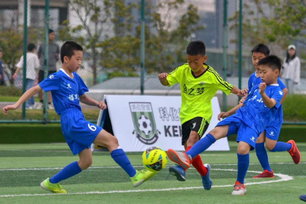 训练营强调 训练营强调