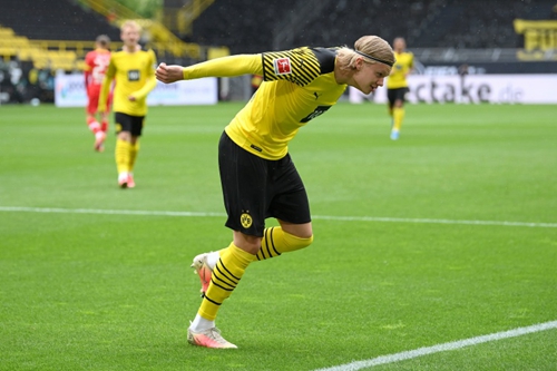 成长红利 成长红利